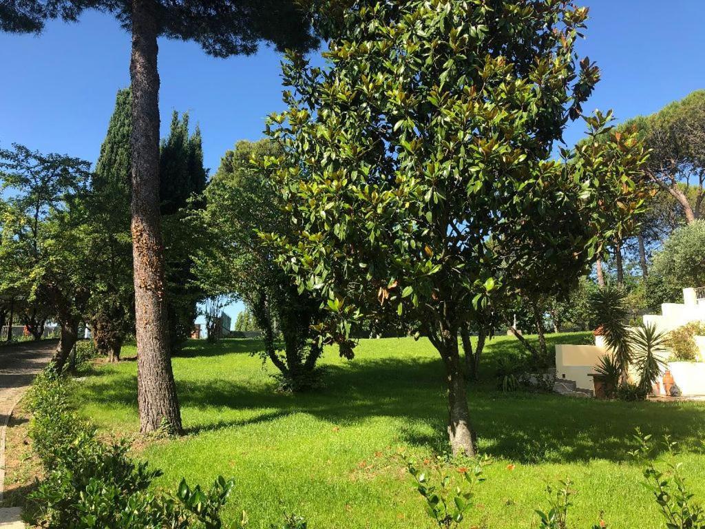 Residenza Verdemare Misano Adriatico Eksteriør bilde